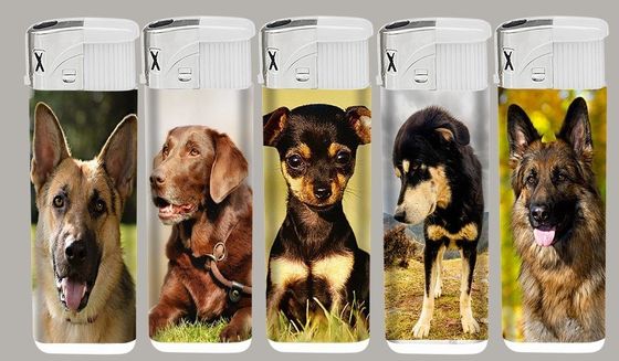 Plastic wegwerpaande elektronische aansteker met fakkel voor sigaretten/cadeautjes/decoratiemateriaal